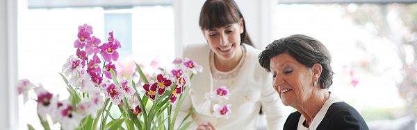 De voordelige bloemengroothandel voor uw kantoor of bedrijf-1