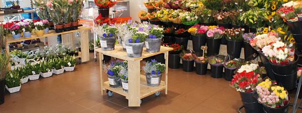 Bloemen meubels voor uw supermarkt bij Broks Bloemen-3