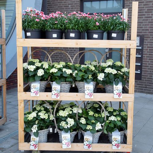 Voordelige bloemen meubels op maat voor uw supermarkt-5