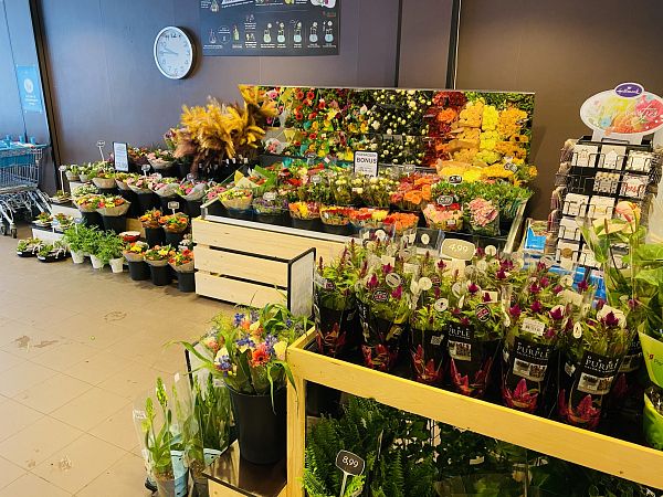 Koelmeubels voor bloemen, ideaal voor iedere supermarkt-5
